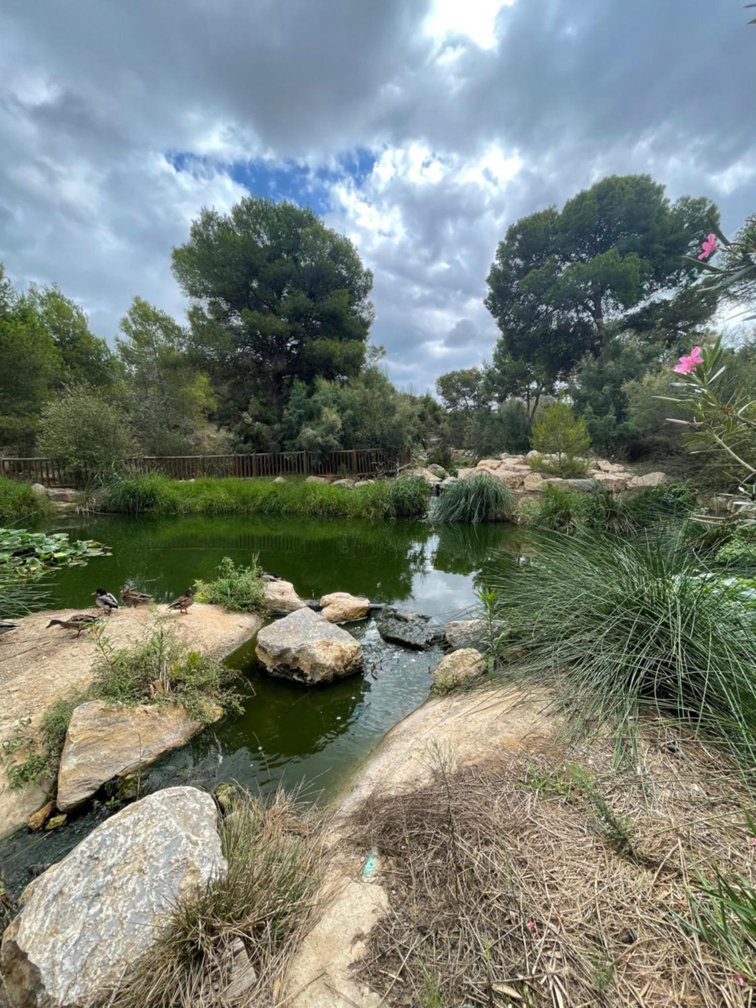 Casa Amarela Guesthouse, Algorfa Exteriér fotografie